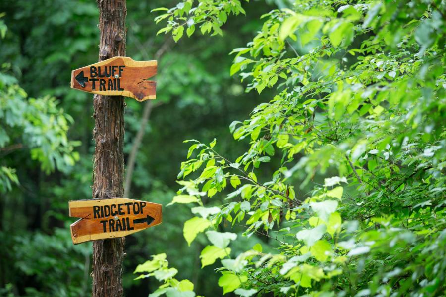 HikingTrailSigns