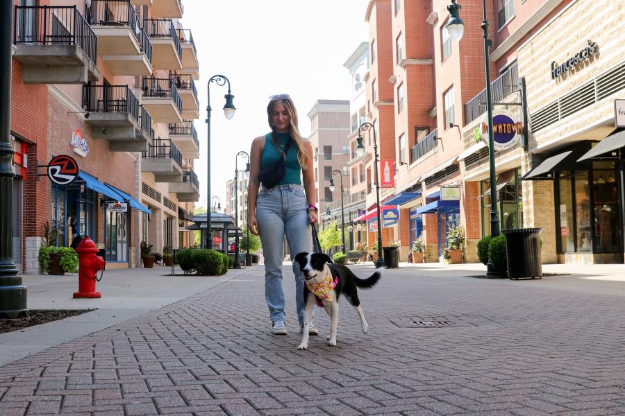 Dog_Fountain_Downtown_Branson_Landing_Shopping_Summer_Spring