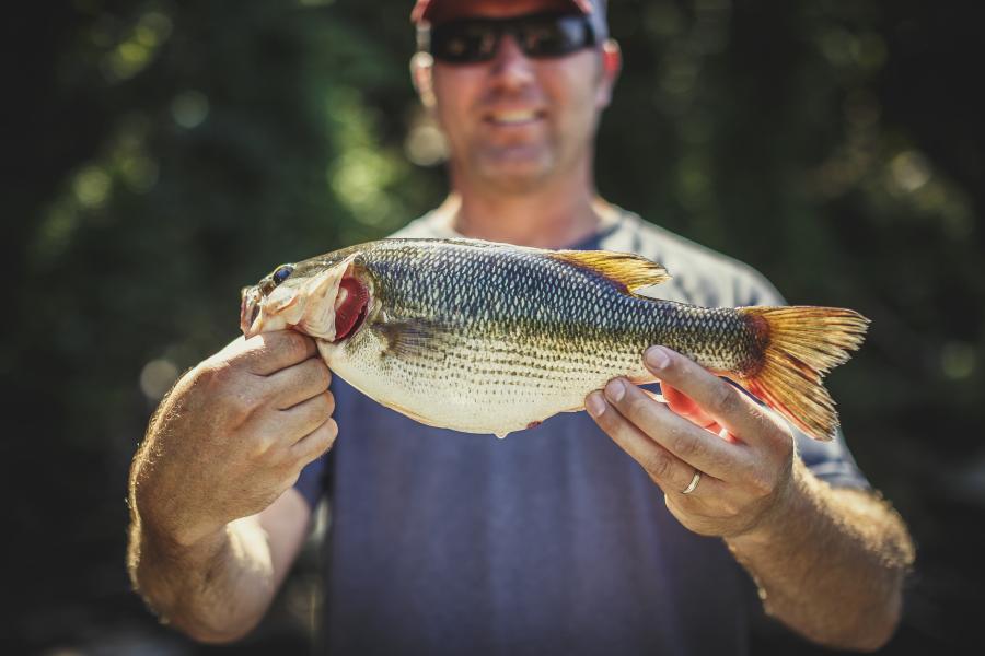 Fish_lake