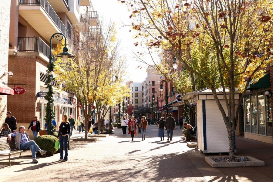 Branson Landing Shopping
