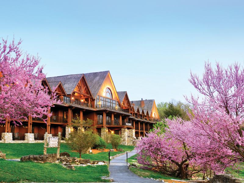 Trees blooming in the spring at Big Cedar Lodge.