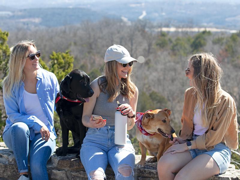 A group of friends on a road trip to Branson with their dogs.