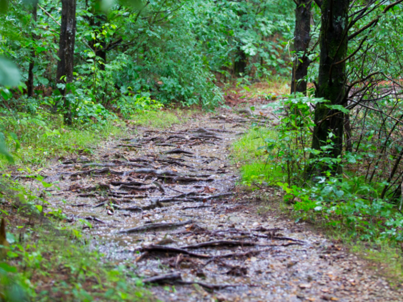 White River Trail