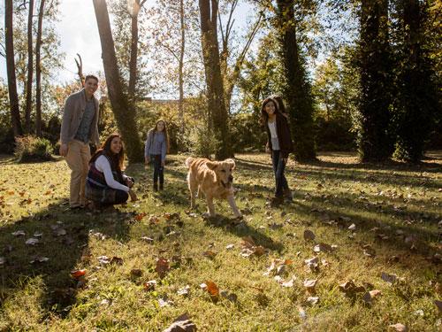 Family of five playing with their large golden retriever dog at a park in Branson.