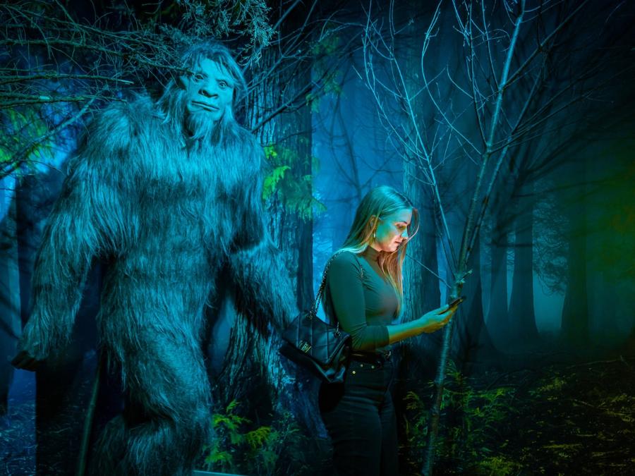Hunt for Bigfoot...